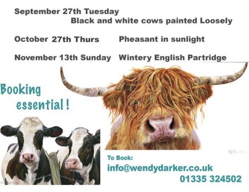 Wendy Darker Workshops